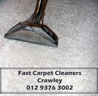 Fast Carpet Cleaners 355270 Image 8
